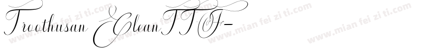 Troothusan CleanTTF字体转换